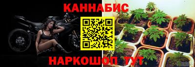 бошки Малгобек