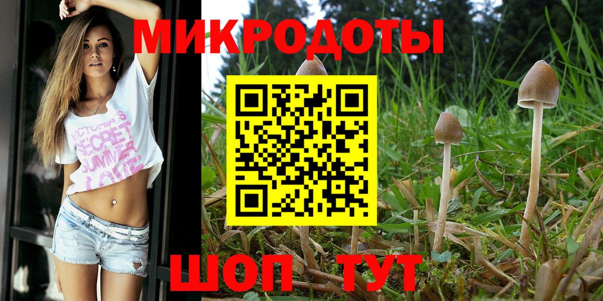 Галлюциногенные грибы прущие грибы Алапаевск