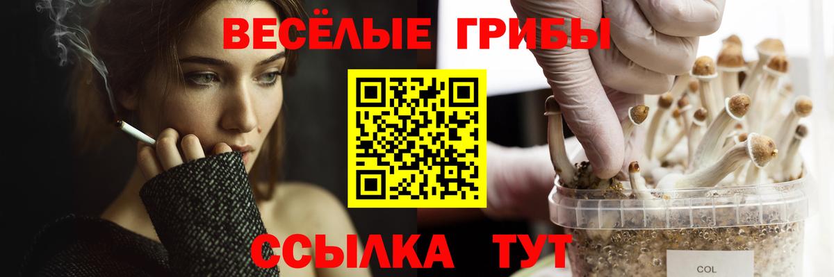 Алапаевск  Псилоцибиновые грибы прущие грибы  Вход с VPN 
